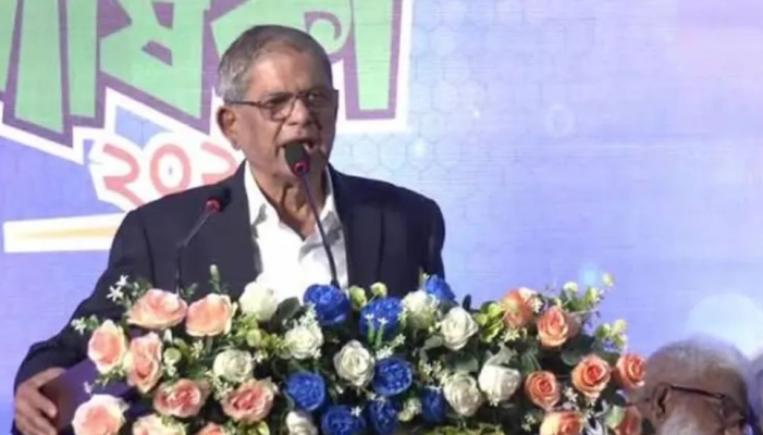https://www.daily-bangladeshmirror.com/post/ekti-mhl-dese-osthitiseelta-srrishtir-pannytara-krche-sthaneey-srkar-mntree